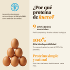 Por qué proteína de clara de huevo: proteína de referencia mundial según la FAO
