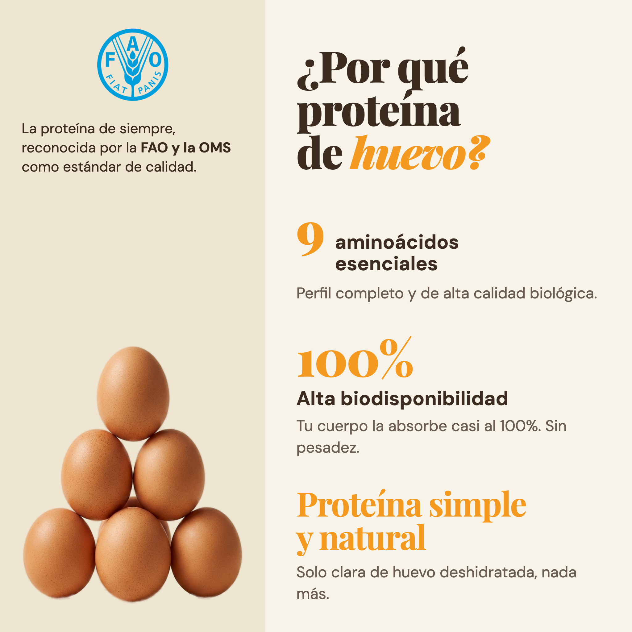 Por qué proteína de clara de huevo: proteína de referencia mundial según la FAO